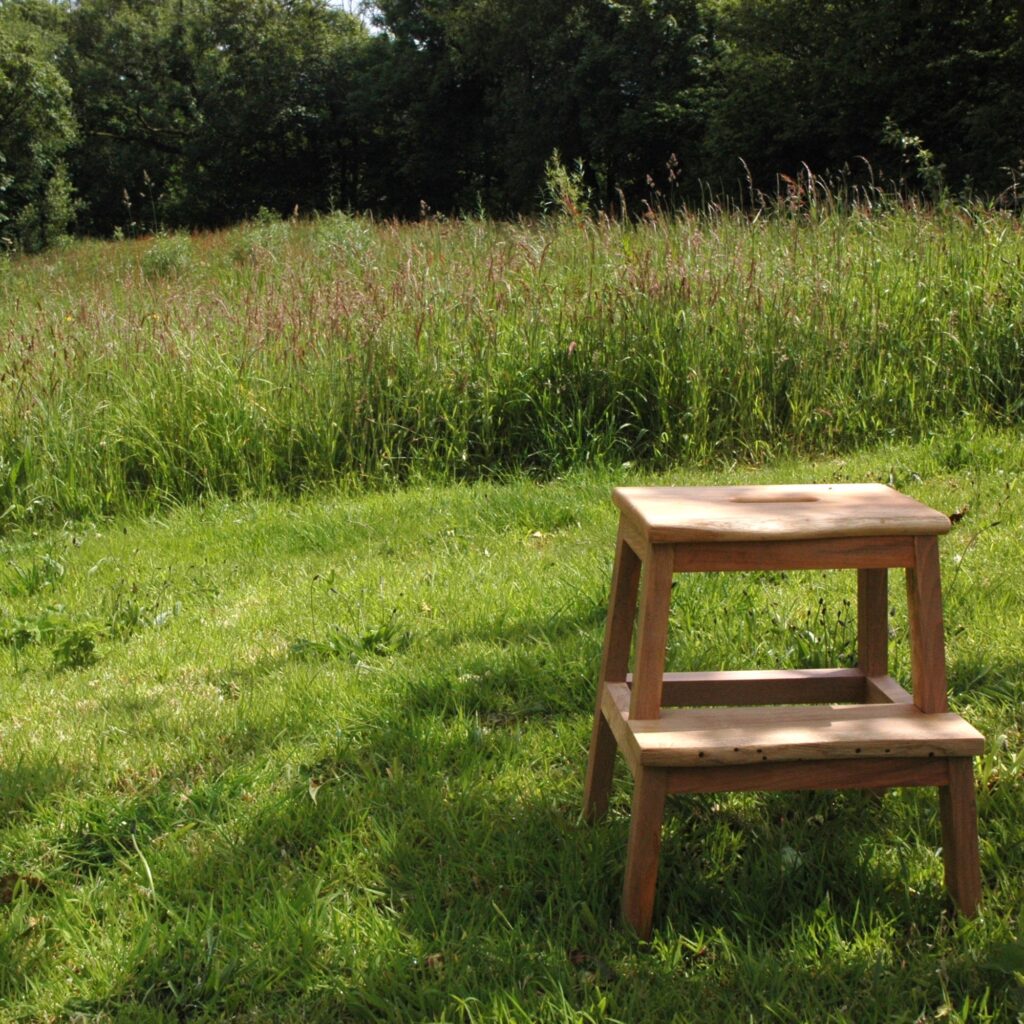 Hwylus Step Stool - Oak #5